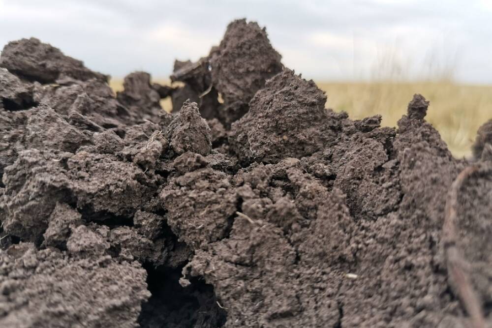 На участке земли под Ясногорском обнаружили глубокое искажение рельефа местности