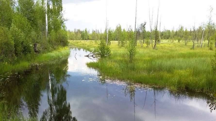 В Украине будут созданы три природных парка