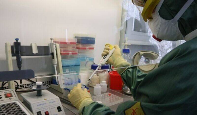 Во Франции выявили новый штамм коронавируса