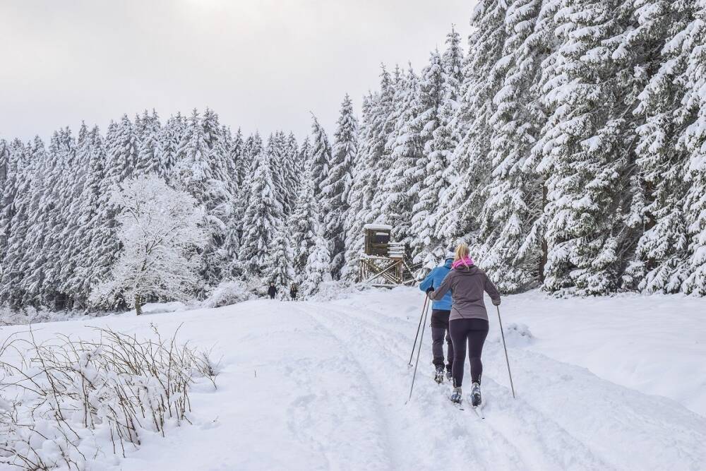 Врач Хомяков назвал лыжные прогулки самым безопасным зимним спортом