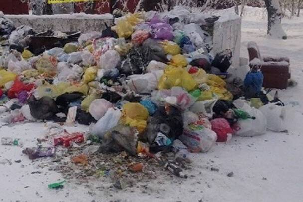 Жителям Ленобласти посоветовали трамбовать «праздничный» мусор