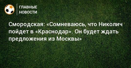 Смородская: «Сомневаюсь, что Николич пойдет в «Краснодар». Он будет ждать предложения из Москвы»