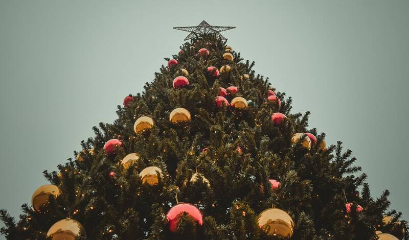 В администрации Уфы сообщили, куда можно сдать новогодние елки на переработку