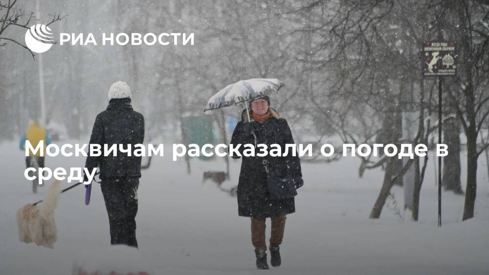Синоптик Волосюк: облачная погода и снег ожидаются в Москве в среду