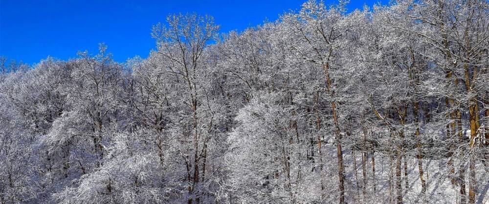 В Украину возвращаются морозы: какой будет погода на Рождество