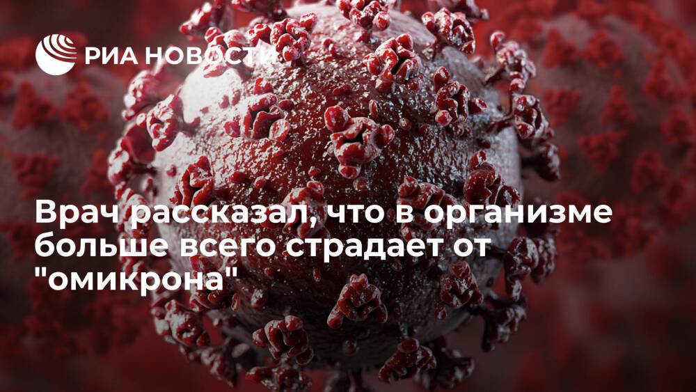 Ученый Токарев назвал имунную систему главной жертвой омикрон-штамма коронавируса