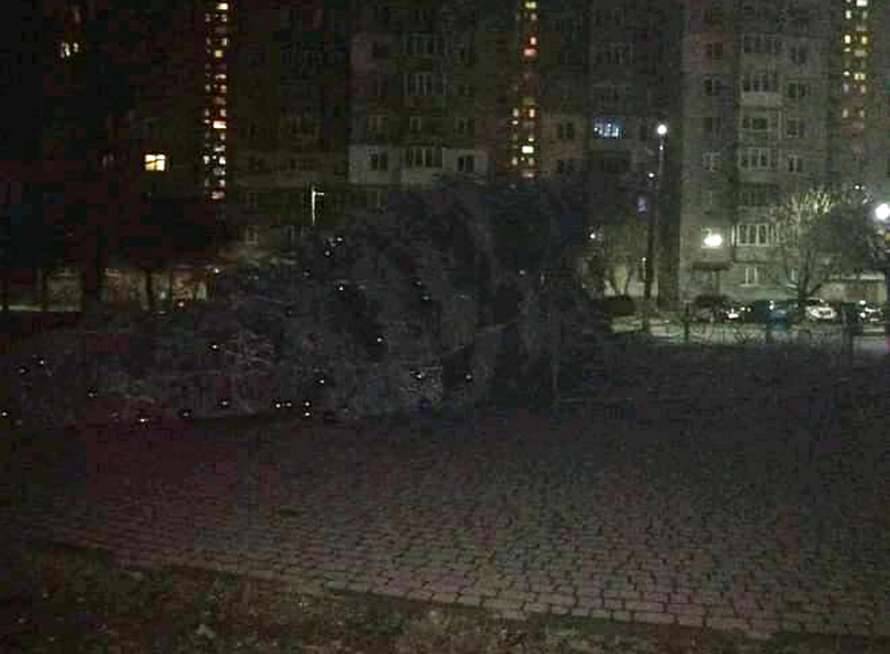 На Прикарпатье упала новогодняя елка