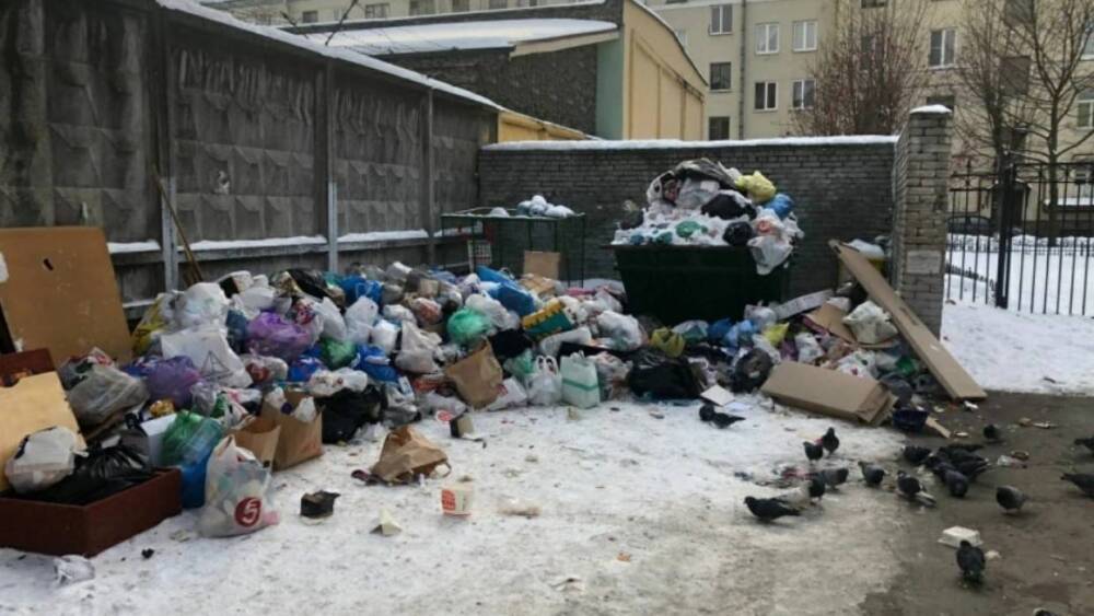 Петербуржцы пожаловались на горы мусора на контейнерных площадках