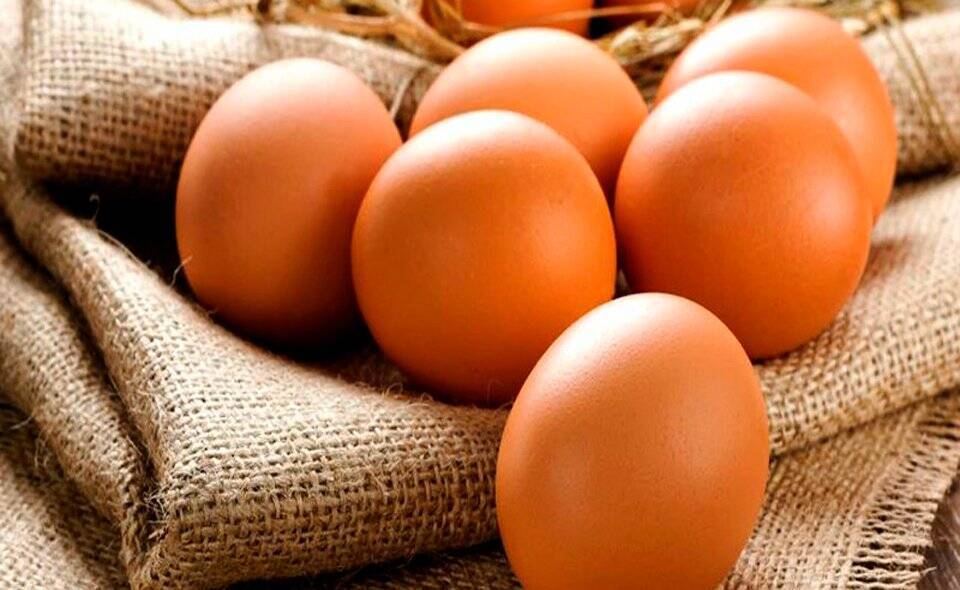В Узбекистане опровергли информацию о запрете на экспорт яиц