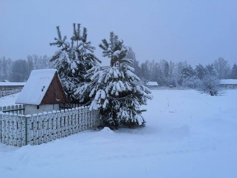 В Смоленской области еще больше похолодает