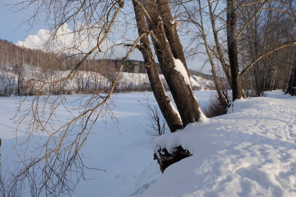 Резкое потепление и метель ожидает Новосибирск 8 января
