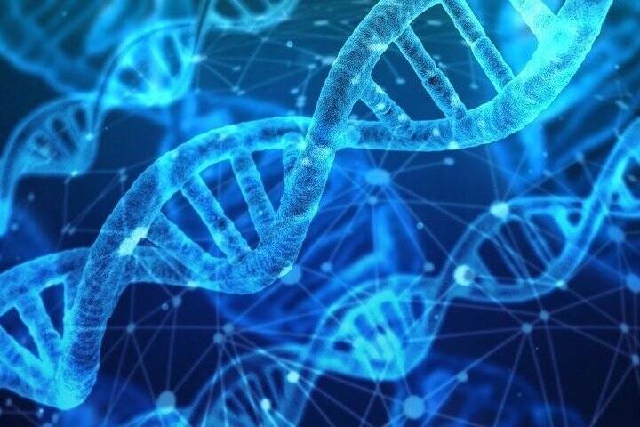 В МВД рассказали о разработке порядка геномной регистрации