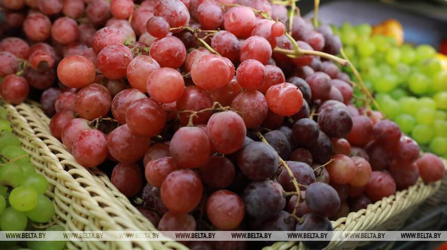 Красный, черный, зеленый: медики рассказали, как правильно выбирать виноград