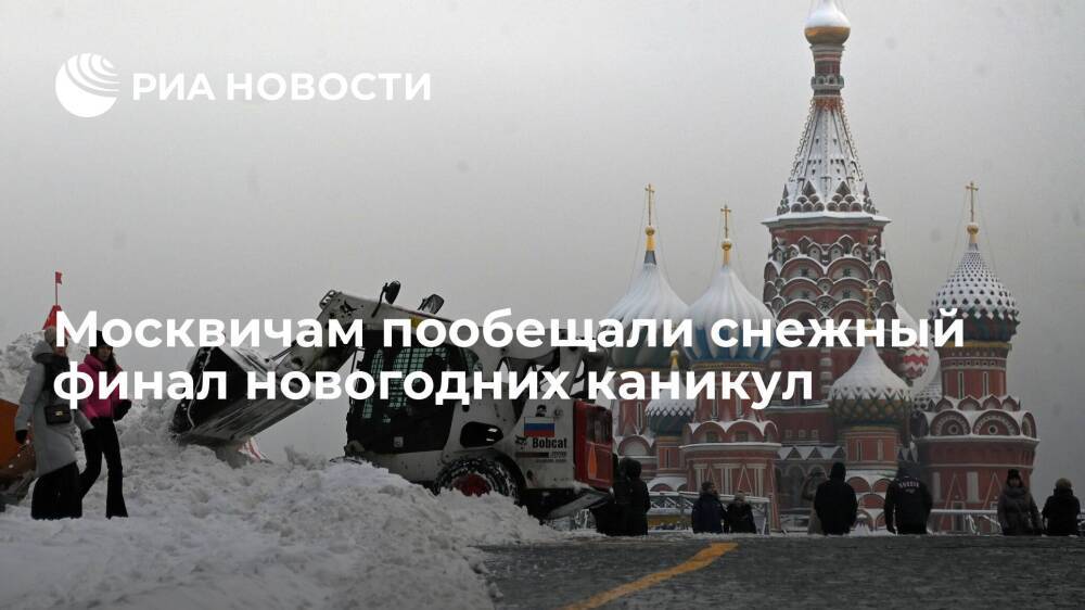 Центр "Фобос": москвичей ждут сильные снегопады в выходные