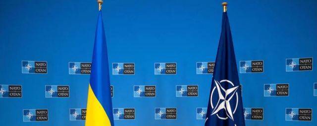 Журналист Бауэр сообщил о резком изменении риторики ФРГ по членству Украины в НАТО