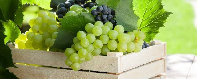 Виноград способствует снижению уровня холестерина и улучшению здоровья сердца