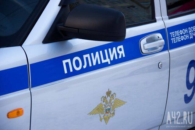 Выхватил из рук и убежал: кузбасские полицейские задержали рецидивиста, похитившего у ребёнка телефон