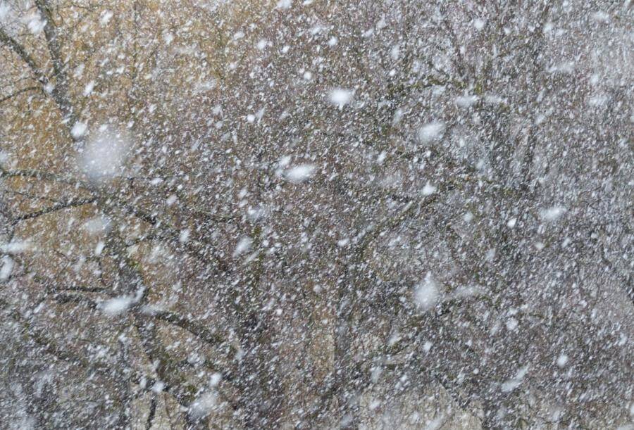 Сильный снег ожидается в Нижегородской области 10 января