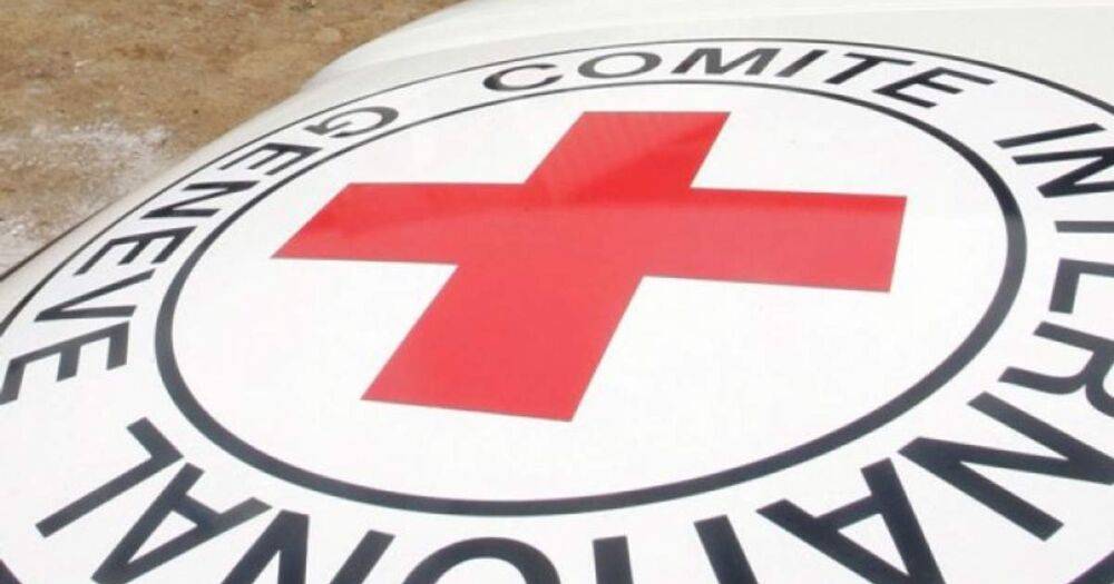 Обеспокоены безопасностью: Красный Крест временно сократит работу в Украине