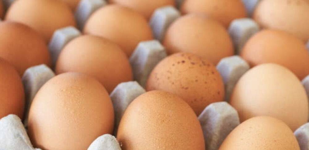 Втрачено п'яту частину виробництва: стало відомо, чому в Україні злетіли ціни на яйця