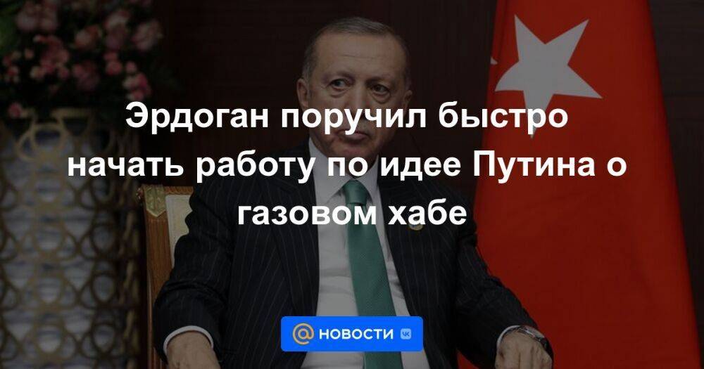 Эрдоган поручил быстро начать работу по идее Путина о газовом хабе