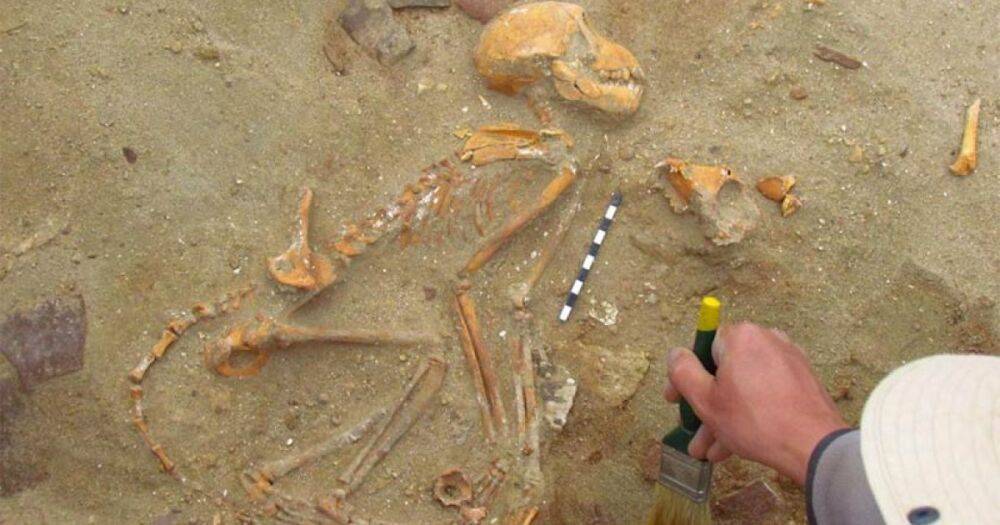 Археологи обнаружили захоронение берберийской обезьяны с военной амуницией (фото)