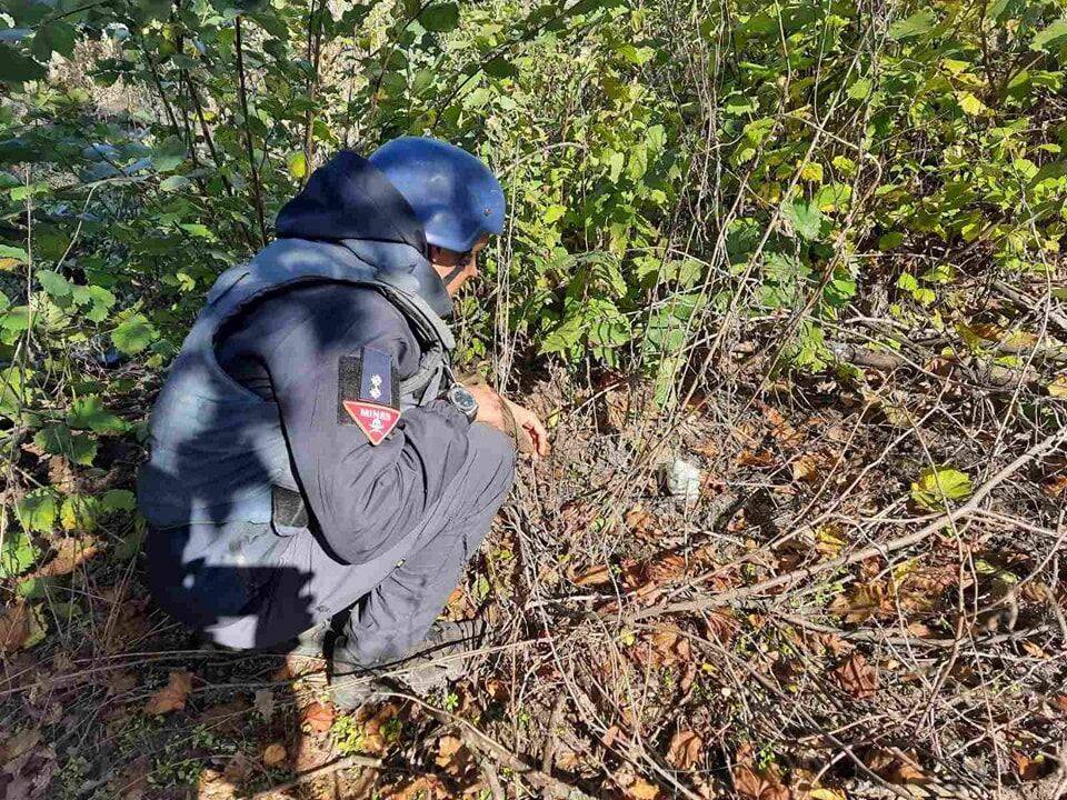 В ГСЧС назвали территории Харьковщины, где больше всего мин