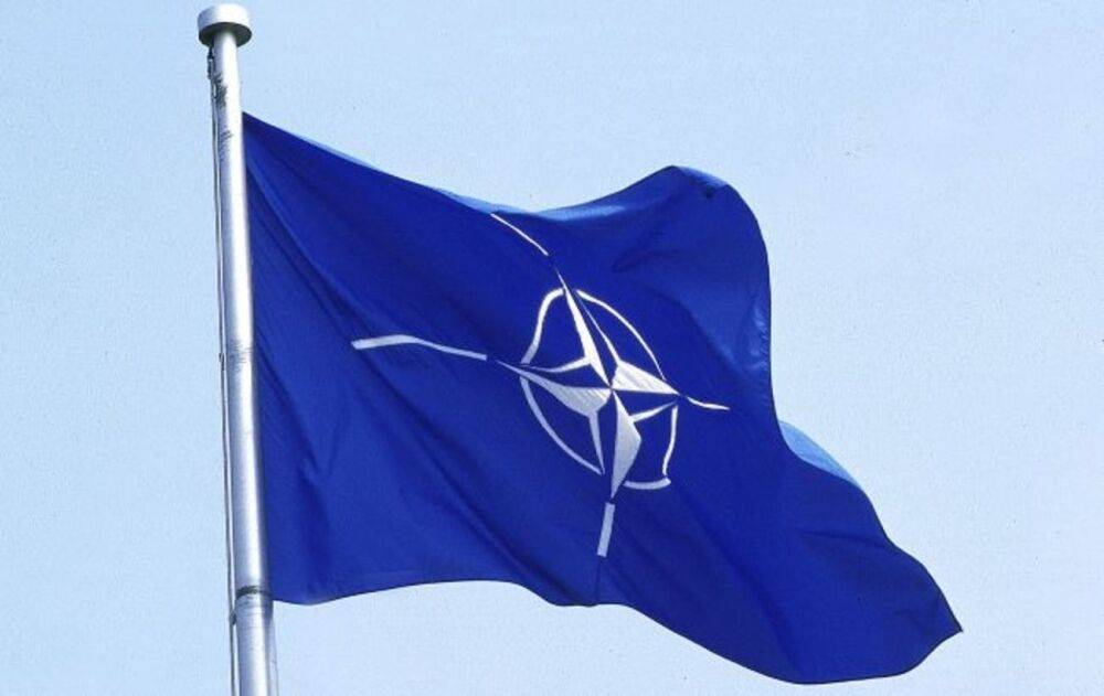 В Естонії закликали НАТО та ЄС значно збільшити допомогу Україні