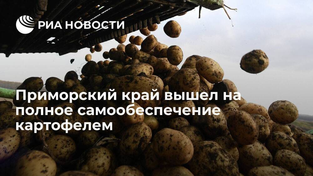 Глава Минсельхоза Приморья Бронц: регион вышел на полное самообеспечение картофелем