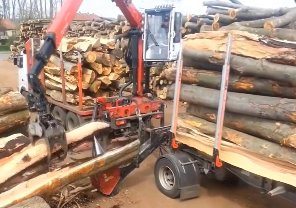 Жителей 8 областей обеспечат дровами совершенно бесплатно: в Кабмине рассказали, кто получит