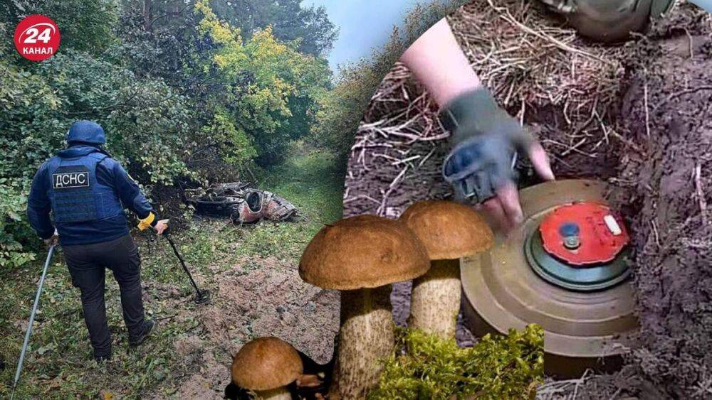 В Черниговской области 4 грибника взорвались на мине