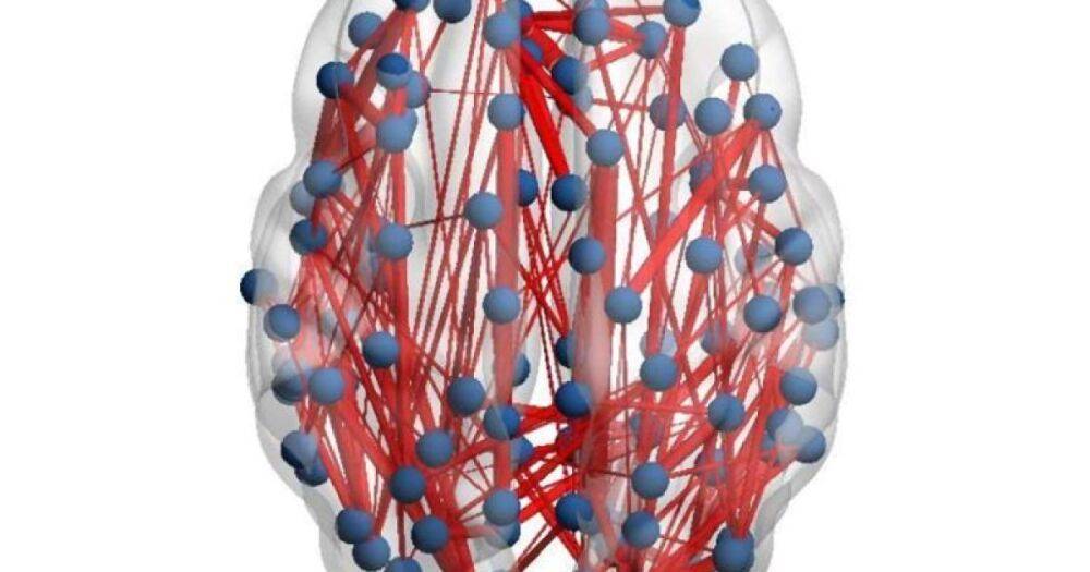 Структура мозга взрослого человека не постоянна: ученые научились ее менять всего за 6 недель