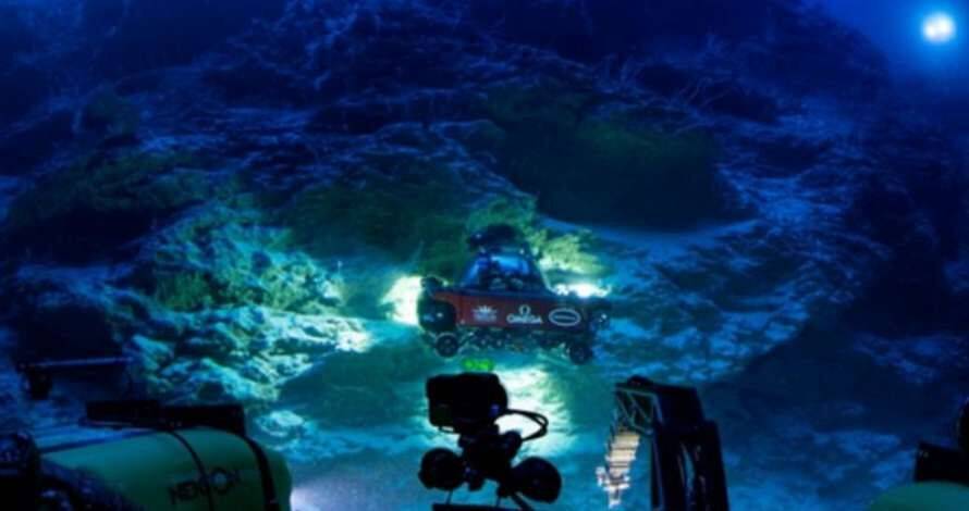 Вчені виявили глибоко під океаном прихований «оазис життя» (Відео)
