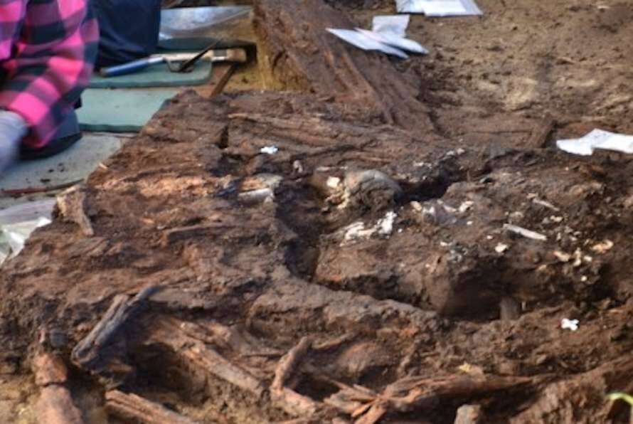 На березі озера знайдено найстаріші людські останки в Німеччині