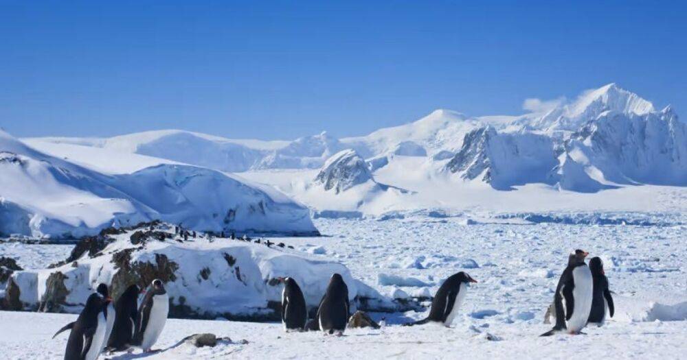 Под ледяным щитом Антарктиды найден "трубопровод": простирается на 460 км и ускоряет таяние
