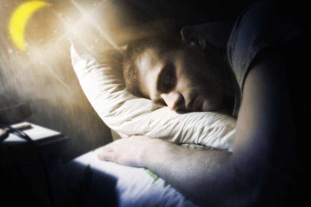 Когда мы спим, одна область мозга обучает другую