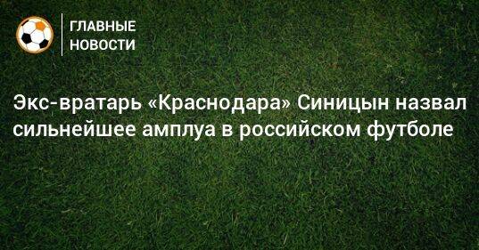 Экс-вратарь «Краснодара» Синицын назвал сильнейшее амплуа в российском футболе
