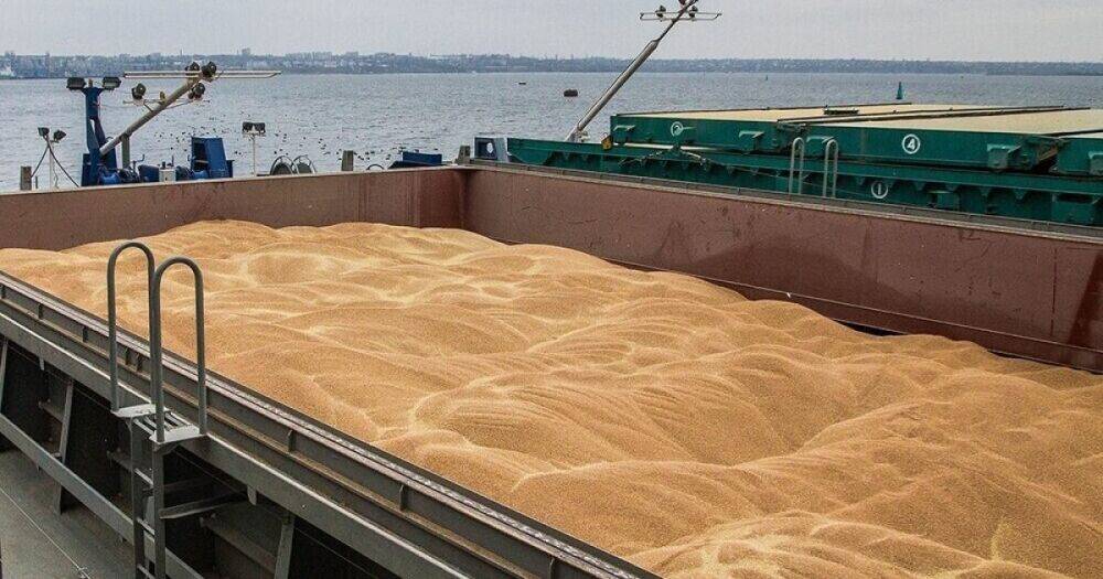 FT разведали схему, по которой Россия продает украденное украинское зерно в Турцию