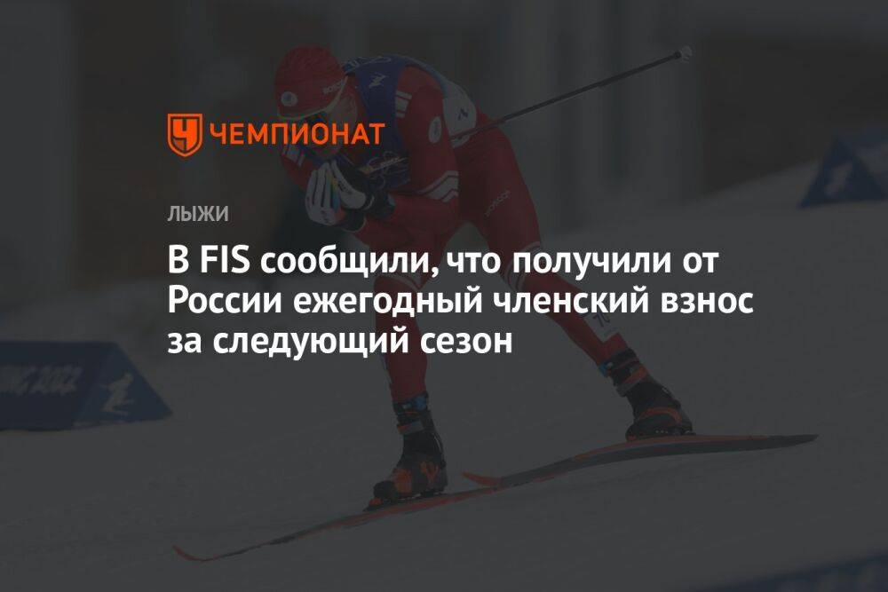 В FIS сообщили, что получили от России ежегодный членский взнос за следующий сезон