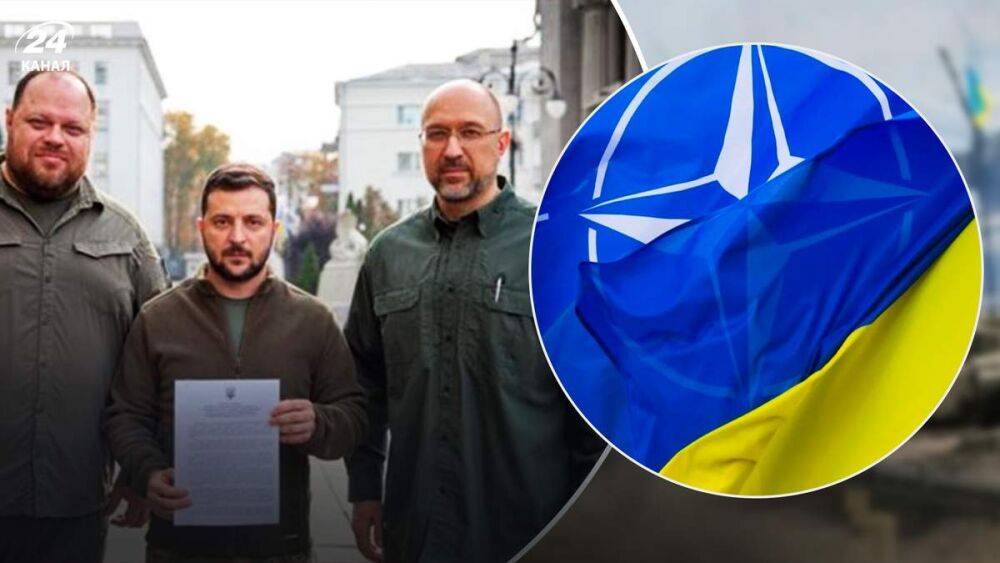 Согласовывала ли Украина с НАТО свою заявку перед подачей: объяснение Жданова