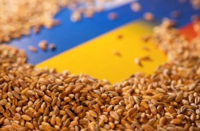 Россия получила около $530 миллионов за продажу ворованного украинского зерна