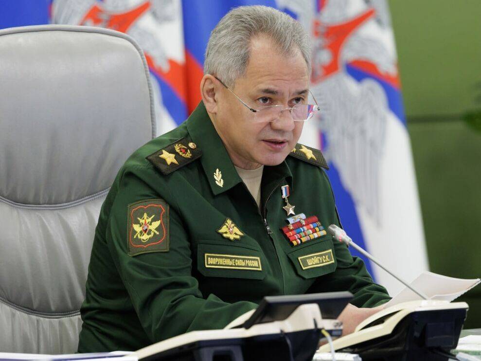 В РФ в армию прибыли более 200 тыс. мобилизованных россиян – Шойгу