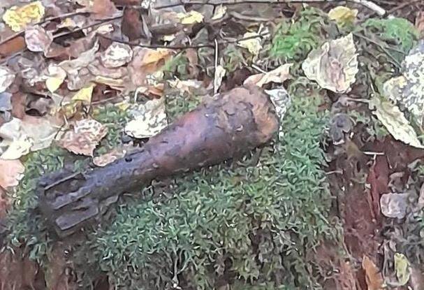 В лесу под Свислочью милиционеры обнаружили 6 гранат времён Великой Отечественной войны