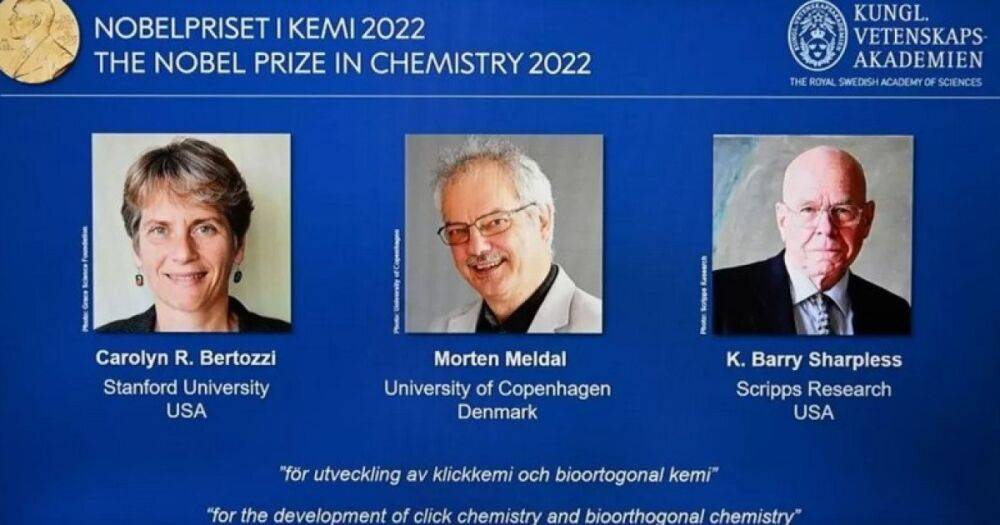 Нобелевская премия по химии 2022. Трое ученых создали химическое "Лего": в чем суть