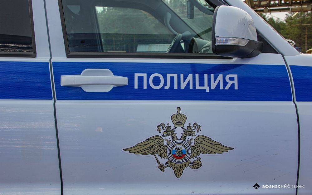 Двое молодых мошенников из Тверской области попались брянским полицейским