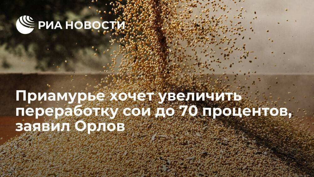 Глава Приамурья Орлов: регион планирует довести объем переработки сои до 70 процентов