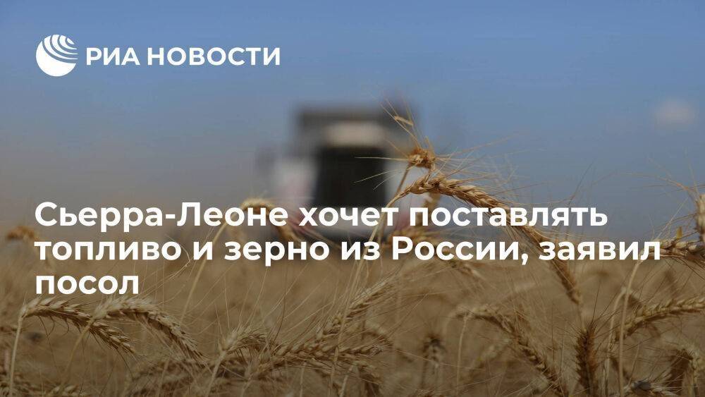 Посол в Москве заявил, что Сьерра-Леоне хочет поставлять топливо и зерно из России