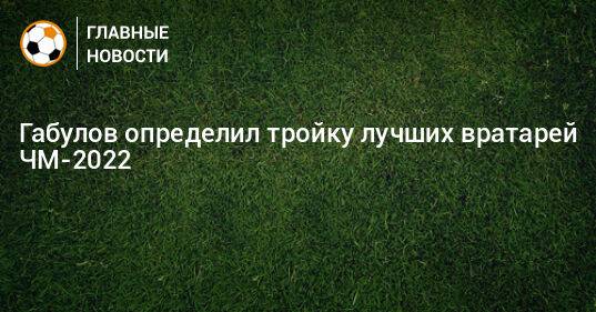 Габулов определил тройку лучших вратарей ЧМ-2022