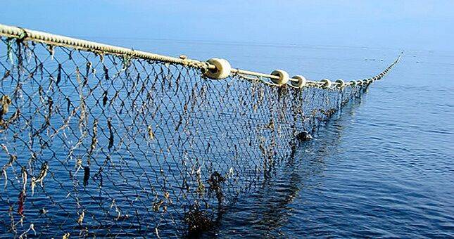 Экологи Согда в водохранилище “Бахри Точик” обнаружили километровую рыболовную сеть