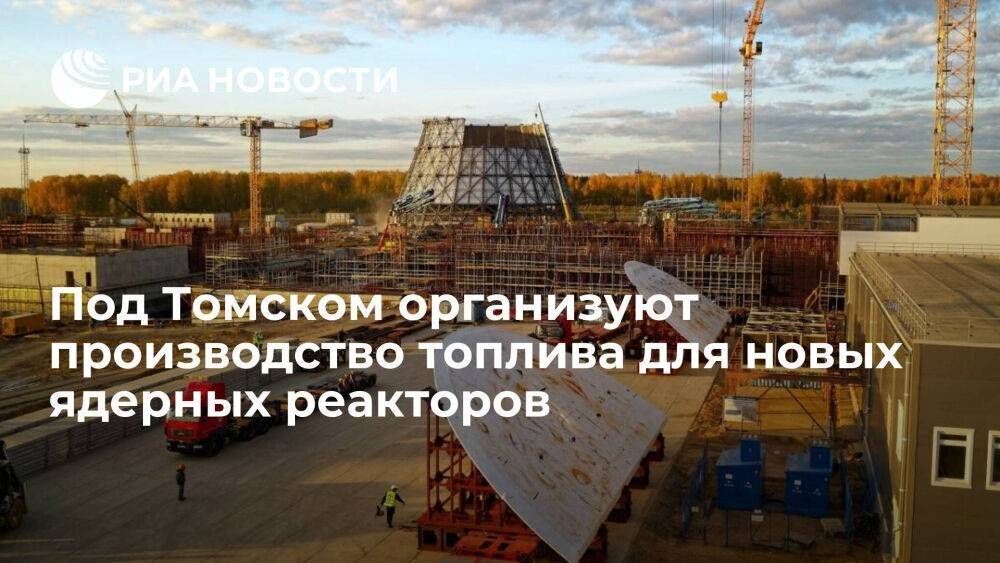 Под Томском организуют производство топлива для ядерных реакторов БРЕСТ и БН-1200